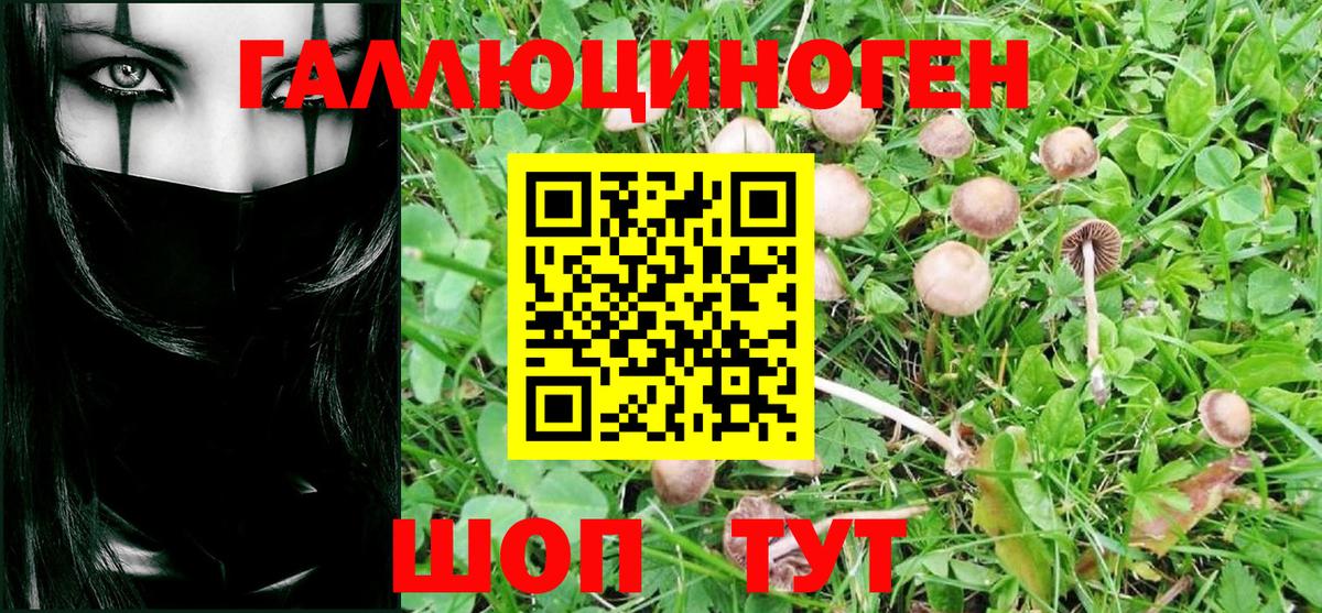 Вейп ТГК  Рубцовск  Alpha PVP СК   Меф МЯУ МЯУ   Гашиш  Вход с VPN  Конопля  КОКАИН 