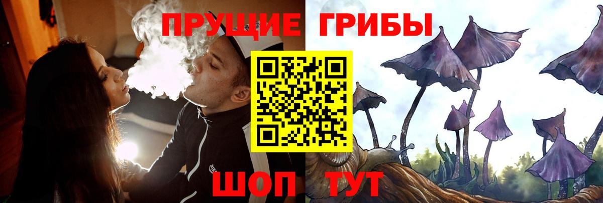 Псилоцибиновые грибы GOLDEN TEACHER Рубцовск